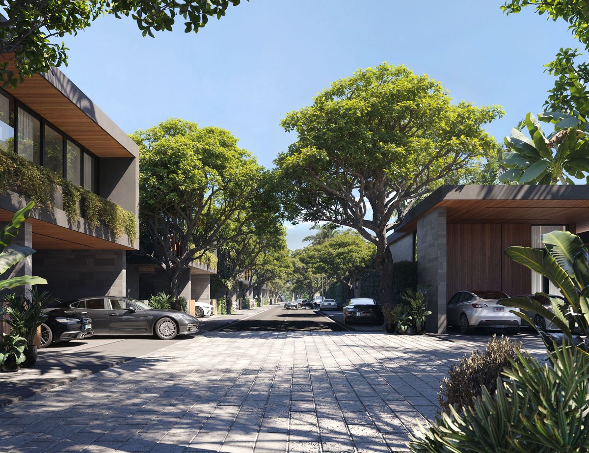 Tree-lined street of the village with parked cars